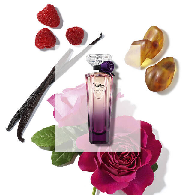 Midnight online rose perfume
